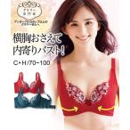 ブラジャー ワイヤー入り 大きいサイズ レディース グラマーサイズ 花柄刺しゅう レース 横胸おさえる リフト C90〜H100 ニッセン nissen
