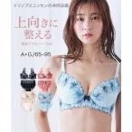 ブラジャー ショーツ セット 大きいサイズ レディース 脇高 刺しゅう レース コスモス ( トリンプ ) C85_L-LL〜G95_3L-4L ニッセン nissen