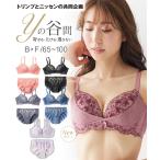 ブラジャー ショーツ セット レディ