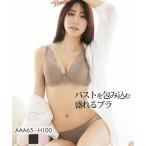 ショッピングブラジャー ブラジャー ショーツ セット レディース フルカップ風 ラグジュアリー レース デザイン AAA65_M〜D80_L ニッセン nissen