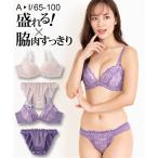 ブラジャー ショーツ セット レディース 脇高フェミニン レース  ブラショーツ 女性 インナー パンツ パンティ A65_M〜D80_L ニッセン nissen