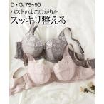ブラジャー 大きいサイズ レディース 脇高大人なくすみ カラー インナー 女性 D85/D90 ニッセン nissen
