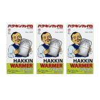 ハクキンカイロ スタンダード×3個セット本体 Hakukin 燃料補給式カイロ 保温 アウトドア 携帯カイロ エコ おしゃれ まとめ買い