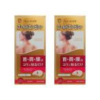  Gold empisin21P×2 шт. комплект. . терапия прикленить . цвет иглоукалывание плечо шея поясница koli золотой массовая закупка 