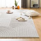 ウィルトンラグ(160X235 ORW37) ニトリ