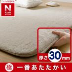 ショッピング比較 30mmウレタン入り 保温+吸湿発熱+蓄熱+防汚ラグ(NウォームWSP LMOc200X240MX14) ニトリ