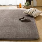 ショッピングダニ 極厚30mmウレタン入り 防汚加工+防ダニ加工+防音ラグ(200X240 GY PL12) ニトリ