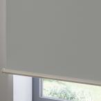 つっぱり遮光ロールスクリーン(RS06 GY 90X200) ニトリ 限定価格：1/5迄