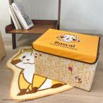 ラスカル 収納BOXラスカルがいっぱい(イエロー) ニトリ