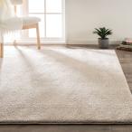  акцент ковер ( N wing The BE 200X285) одноцветный модный ковровое покрытие nitoli