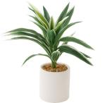 ドラセナ28cm テラコッタポット フェイクグリーン インテリアグリーン 造花 観葉植物 ニトリ