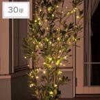 fea Lee солнечный свет (30 лампочка Gold DS)nitoli