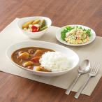 ショッピング食器 カレー・パスタ3点セット ニトリ