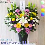 �������o�X�P�b�g LLL�T�C�Y ���ފ� �� ������� �A�����W ���� ���� ���� �@�� ���� �e �� ���� �A �����W�����g �t�����[ �� ���~ ���������o�X�P�b�gLLL��
