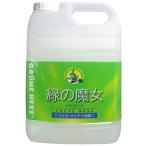 ショッピング緑の魔女 緑の魔女 キッチン 業務用 5L 食器用 洗剤