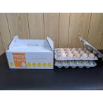 . курица место прямая поставка! свежий . шар .( Tama .) яйцо будущее Chan 30 шар ввод 