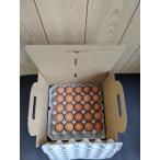 . курица место прямая поставка! свежий . шар .( Tama .) яйцо сейчас день один kun 50 шар ввод 