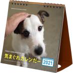 ほぼ日気まぐれカレンだー2021 日曜始