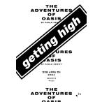 韓国語 音楽 本 『ゲッティング・ハイ getting high - 永遠を歌うバンド、オアシス』 著:パオロ・ヒューイット (韓国語版/ハングル)
