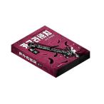 【特装版】韓国語 まんが『カグラバチ(9)』著：外薗 健（韓国版） - アクリルスタンド2種+貝殻風ホログラムアクリルコースター+花札風能力カード4種他