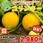 Yahoo! Yahoo!ショッピング(ヤフー ショッピング)【ただいま収穫中！】野菜ソムリエが栽培した北海道産の西洋野菜、訳ありコリンキー 600g〜800g 約2kg