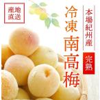 冷凍梅　紀州南高梅　完熟1kg　4L　冷凍ウメ　冷凍うめ　梅ジャム　梅ジュース　梅酒　冷凍南高梅　紀州産　完熟梅