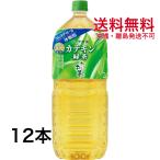 伊藤園 2つの働きカテキン緑茶 2L 200