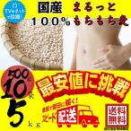 まるっともちもち麦 (大麦) 国産 1ケース (500g×10袋)   丸麦 まる麦 ダイエット 業務用