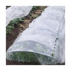 直送品　トンネル栽培用ＰＯ　穴あきトンネル  厚さ0.05mm×長さ100m×孔2列×幅210cm