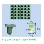いちごポット30Ｐ　10枚入り