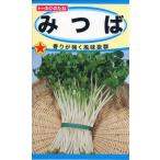 ミツバの種　みつば　4ml　品番1349　種子　たね