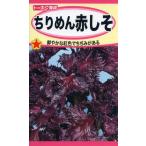 シソの種　ちりめん赤しそ　3ml　品番1385　種子　たね