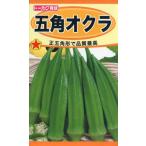 オクラの種　五角オクラ　7ml　品番1625　種子　たね