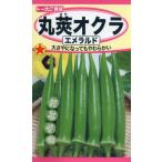 オクラの種　丸莢オクラ　エメラルド　7ml　品番2687　種子　たね
