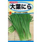 ニラの種　大葉にら　5ml　品番3076　種子　たね