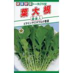 葉ダイコンの種　F1　葉大根　緑美人　10ml　品番5590　種子　たね