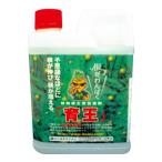 ����鲦  1kg������