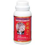  departure корень сила 500cc