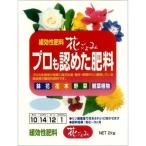 ko... цветок ...2kg