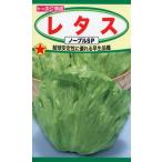 lettuce. вид lettuce noble SP 2ml номер товара 3514 семена ..