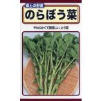 のらぼう菜の種　のらぼう菜　10ml　品番5208　種子　たね