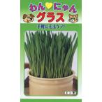  домашнее животное. шерсть шар уход особый en пшеница. вид ..*... стакан 60ml номер товара 8970 семена ..