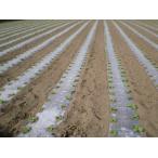  сельское хозяйство для мульти- сиденье оригинал прозрачный мульти- ( дыра нет ) толщина 0.02mm× ширина 120cm× длина 200m 5 шт. комплект 