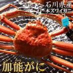  отгрузка средний |..... подарок по случаю конца года Ishikawa префектура талант . прямая поставка от производителя . талант gani местного производства 1 кубок примерно 700~800g. Boyle Echizen .. талант . краб . краб ваш заказ гурман высококлассный подарок ..