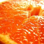 予約販売：中山さんのデコ（みかん）　ワケアリ　９kg　熊本県産　送料別／　三角（みすみ）町より直送