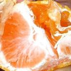 . сырой мандарин 10kg Kumamoto префектура производство треугольник блок Nakayama san. . сырой мандарин ( немного .. есть ) 10kg