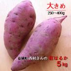  предварительный заказ распродажа :.. .. довольно большой (L-2L размер )5kg Kumamoto префектура производство доставка отдельно /. замок блок запад . san. Satsuma клубень 