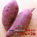  предварительный заказ распродажа :.. ..<2L размер > 20kg(10k×2 коробка ) Kumamoto префектура производство доставка отдельно /. замок блок запад . san. Satsuma клубень 