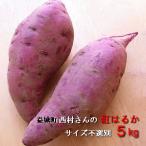 紅はるか　5kg 熊本県産　サイズ不選別　送料別/　益城町　西村さんのさつま芋