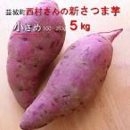 ショッピングさつまいも （予約販売）新さつま芋　小さめ（S-Mサイズ）　5kg　熊本県産　送料別/西村さんの紅はるか　この時期はホクホクした感じですネ